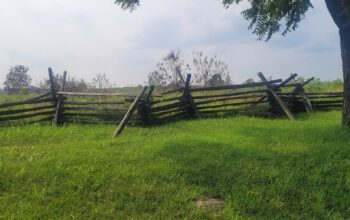 An old fence row at Gettysburg, PA.